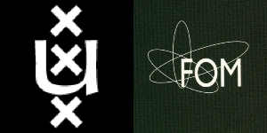 Professional Curriculum