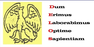 DELOS Lustrum 2007