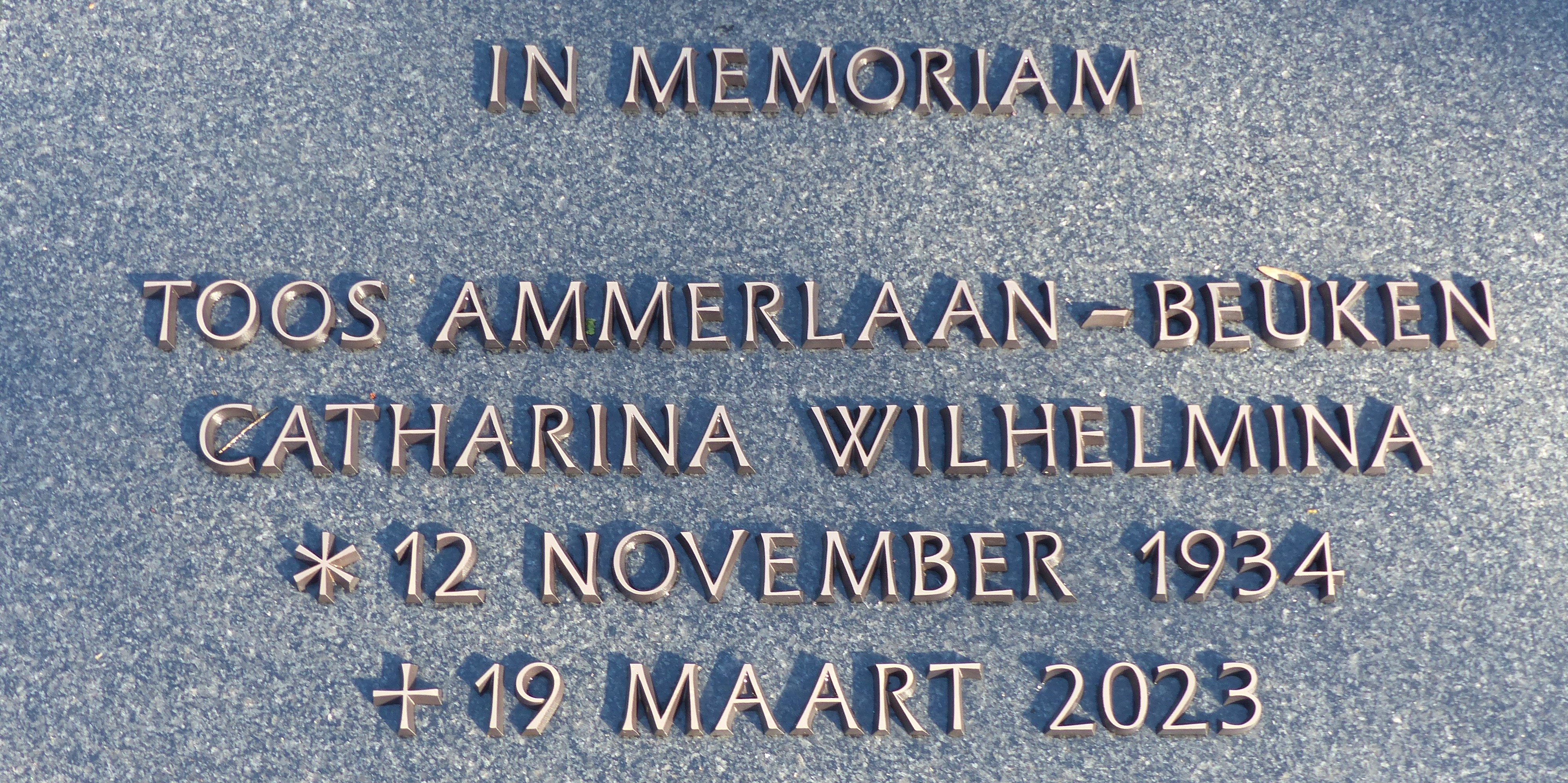 In Memoriam Toos