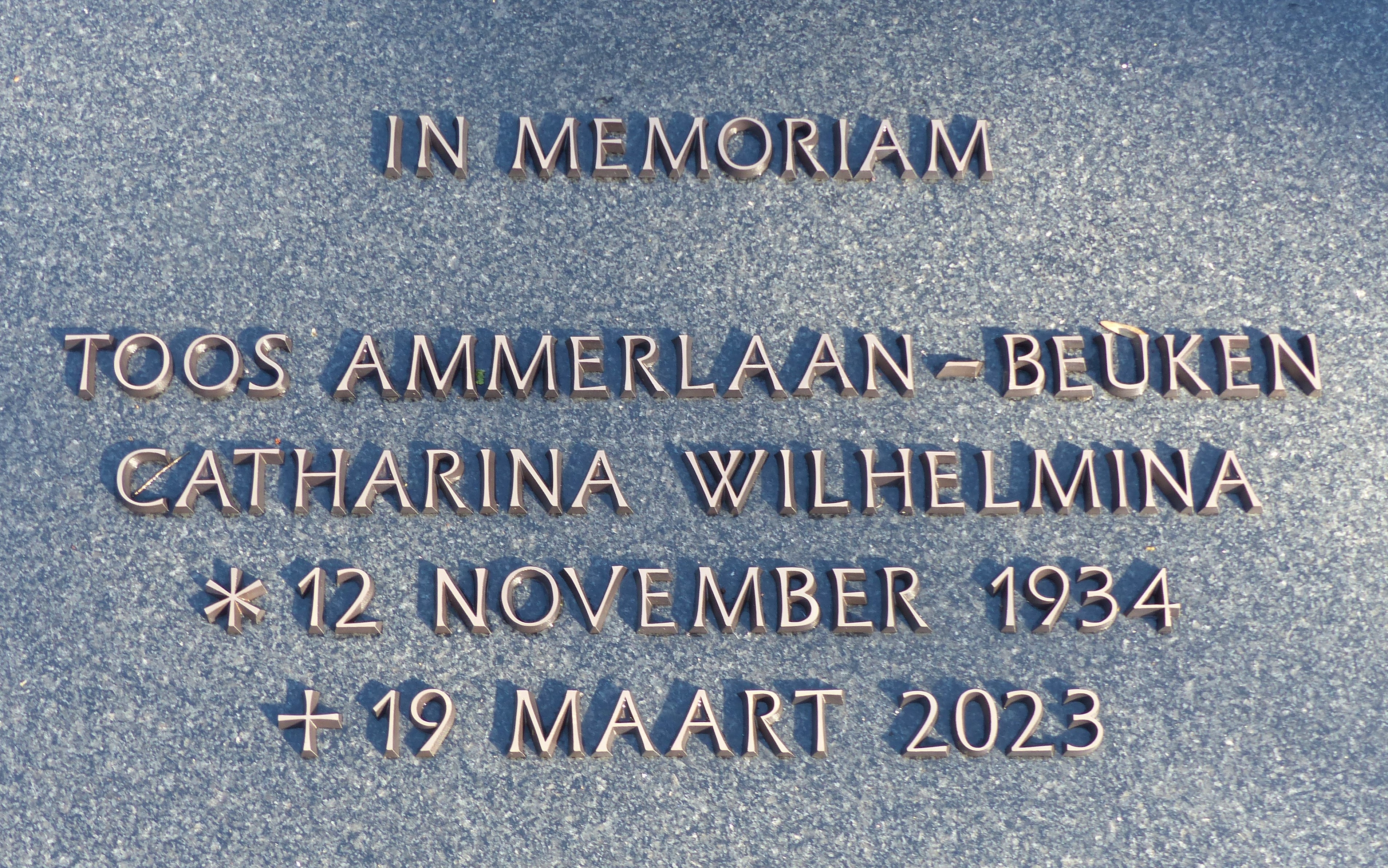 In Memoriam Toos